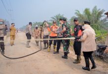 Karhutla Sungai Meranti, Bengkalis, Kasmarni Ikut Padamkan Api