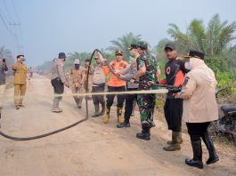 Karhutla Sungai Meranti, Bengkalis, Kasmarni Ikut Padamkan Api