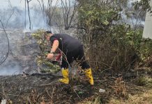 Bupati Lingga Berjibaku Padamkan Kebakaran di Sungai Besar