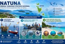 Hindari Efisiensi, Tolong Pelajari Lima Penetapan Natuna Ini
