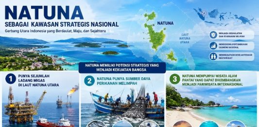 Hindari Efisiensi, Tolong Pelajari Lima Penetapan Natuna Ini