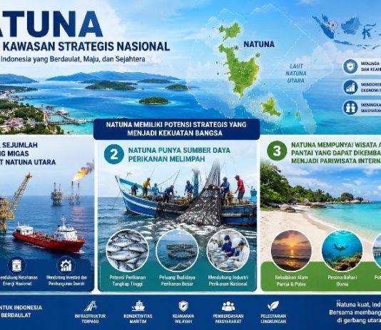 Hindari Efisiensi, Tolong Pelajari Lima Penetapan Natuna Ini