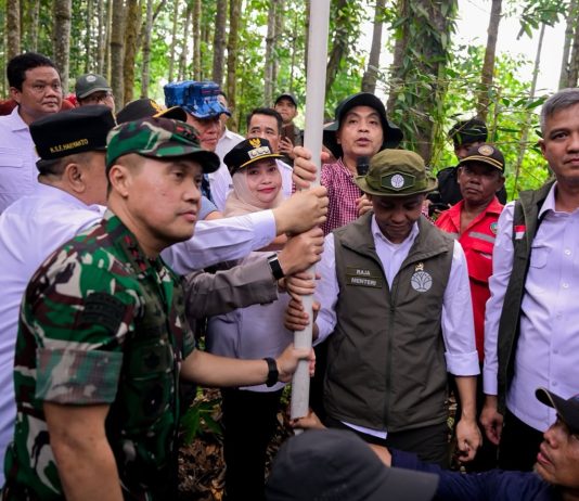 Di Hadapan Menteri Kehutanan, Kasmarni Komitmen Jaga Lahan Gambut dan Perkuat Restorasi di Bengkalis